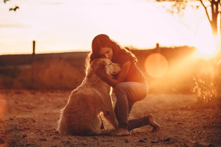refuerzo positivo perros